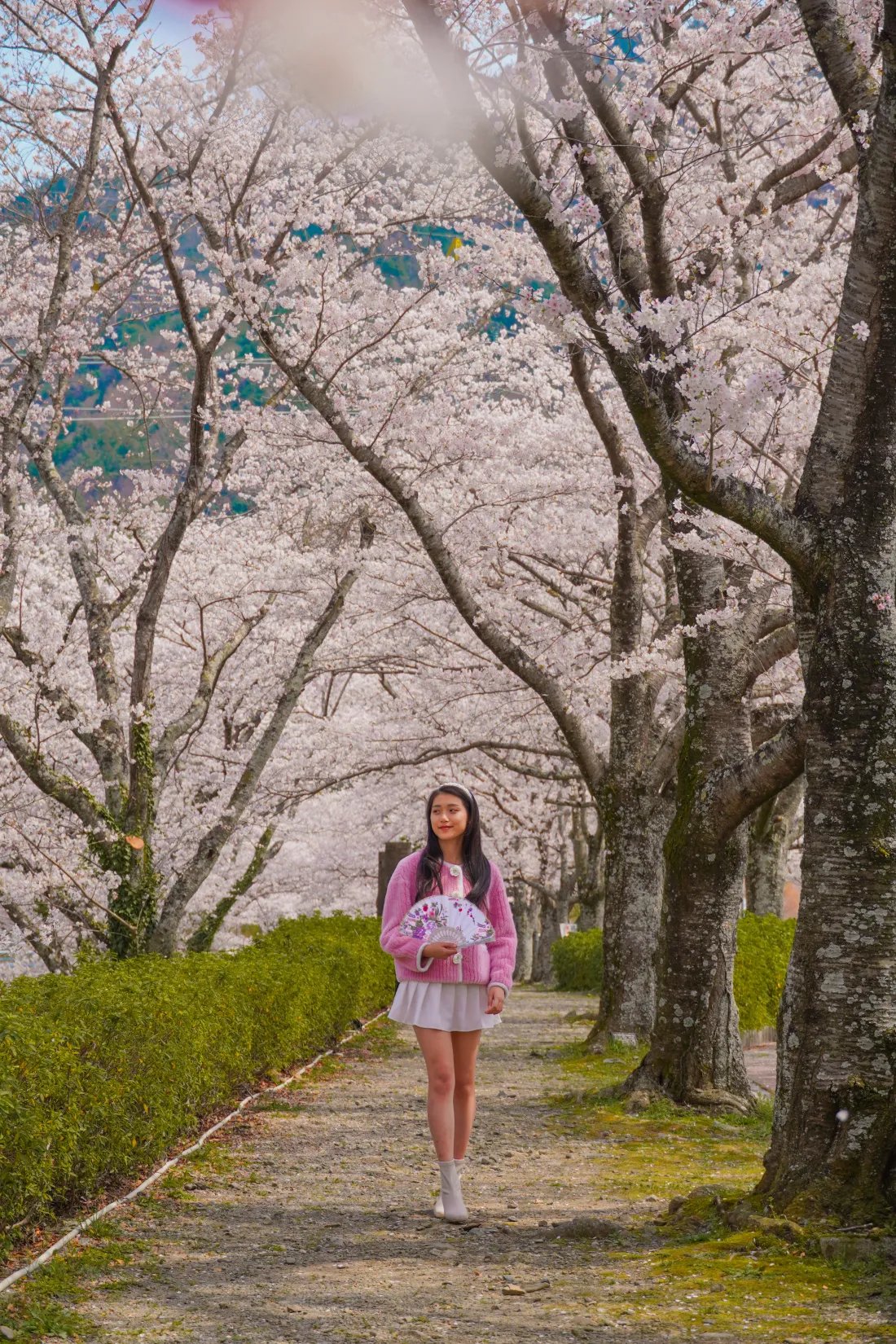 🏞️ 가미사카 공원(가미사카 호루이) 이미지 8